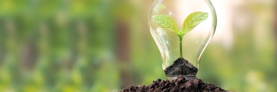 VCMI – nowy standard wiarygodności w dobrowolnych rynkach carbon credits